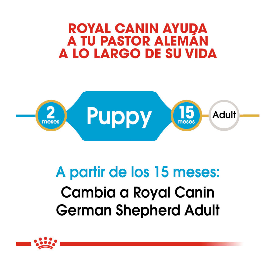 Royal Canin Puppy Pastor Alemão ração para cães, , large image number null